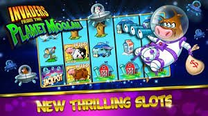 wjcasino 8 wjcasino 8