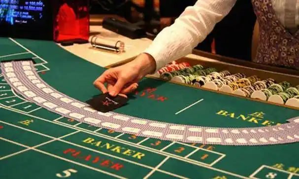 wjcasino 8 wjcasino 8